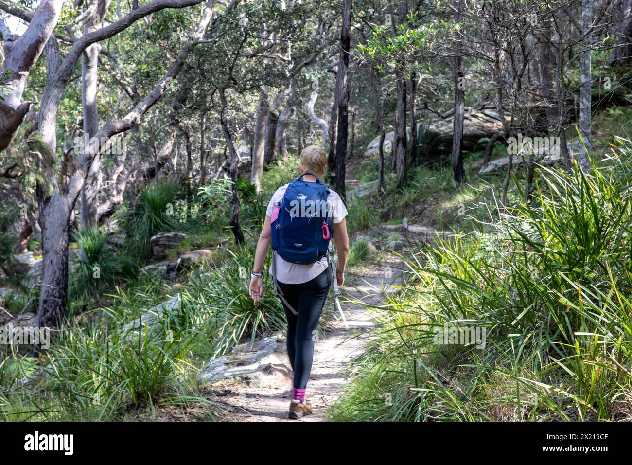 Kuring gai chase national park, middle aged woman model released hiking along Red Hands Cave