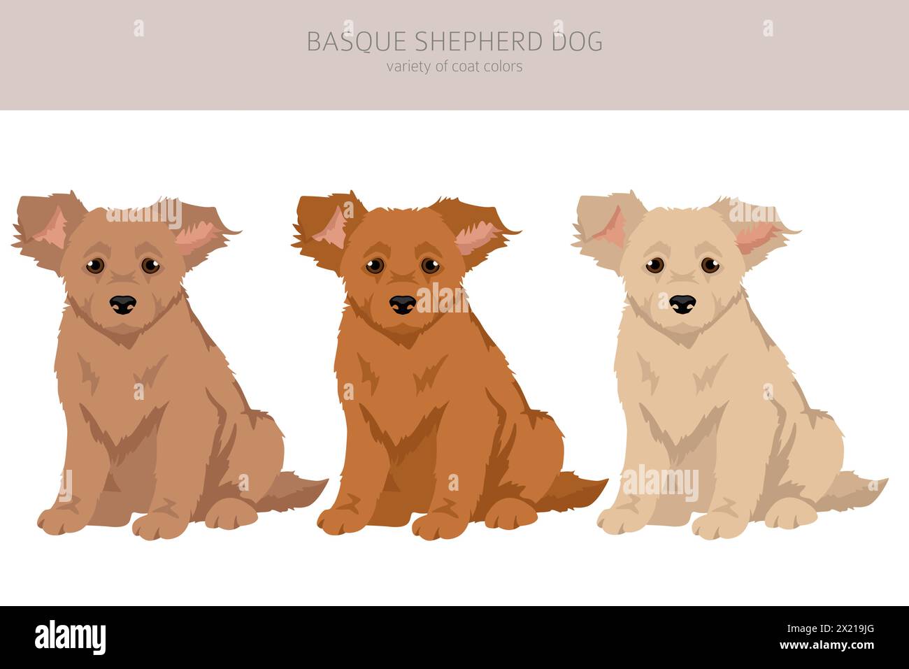 Basque Shepherd dog all colours puppy clipart. Different coat colors ...