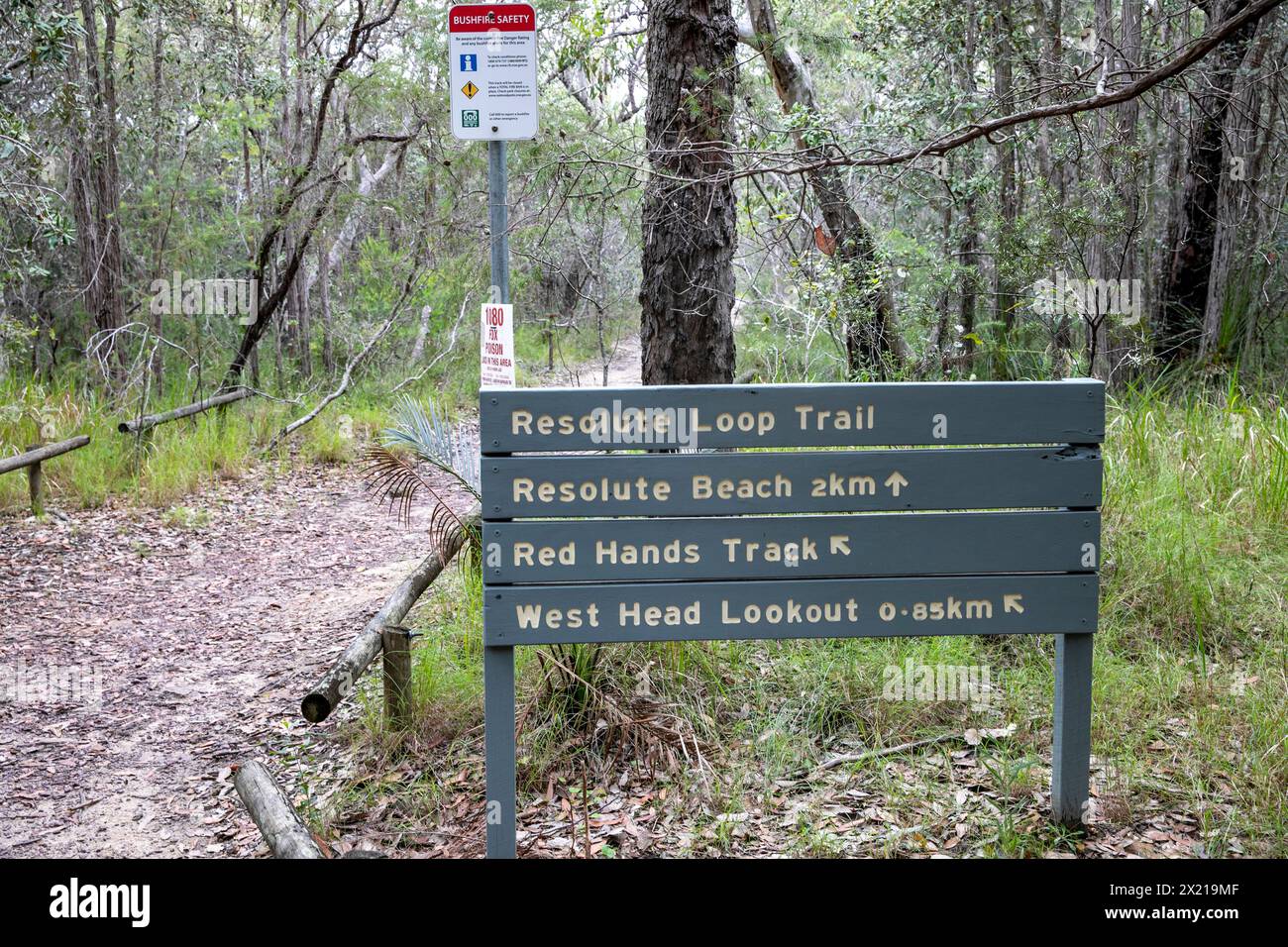 Ku-ring-gai chase national park near Sydney, The resolute loop trail walk at West Head, bush walking trail through the park, Sydney,NSW,Australia Stock Photo