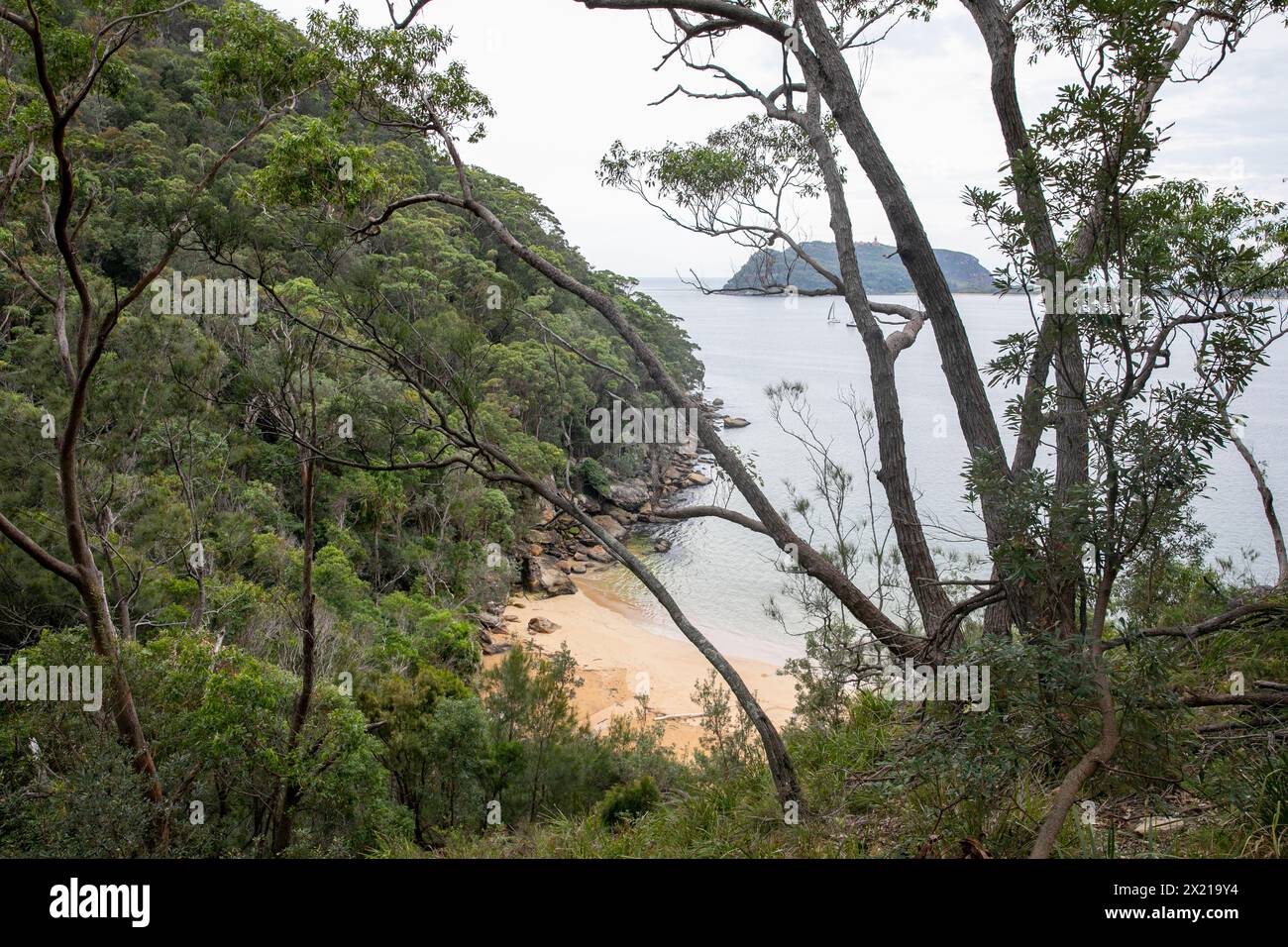 Ku-ring-gai chase national park, view down to Resolute Beach on the Pittwater coast, with views towards Barrenjoey headland and peninsula,Australia Stock Photo