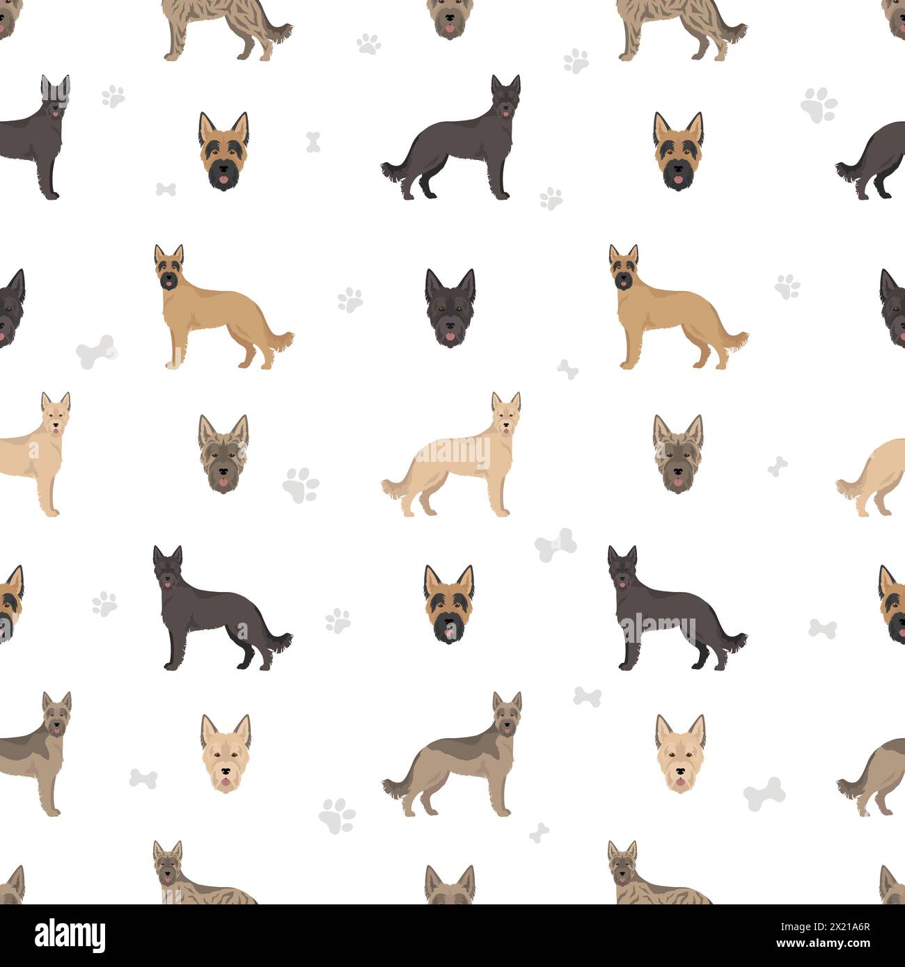 Bouvier des Ardennes seamless pattern.  Different coat colors and poses set.  Vector illustration Stock Vector