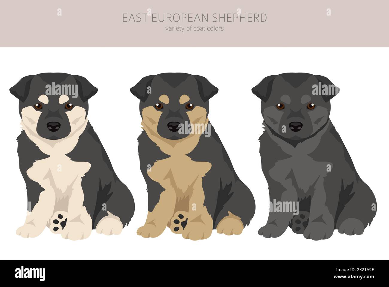 East european shepherd puppies clipart. Different coat colors set.  Vector illustration Stock Vector