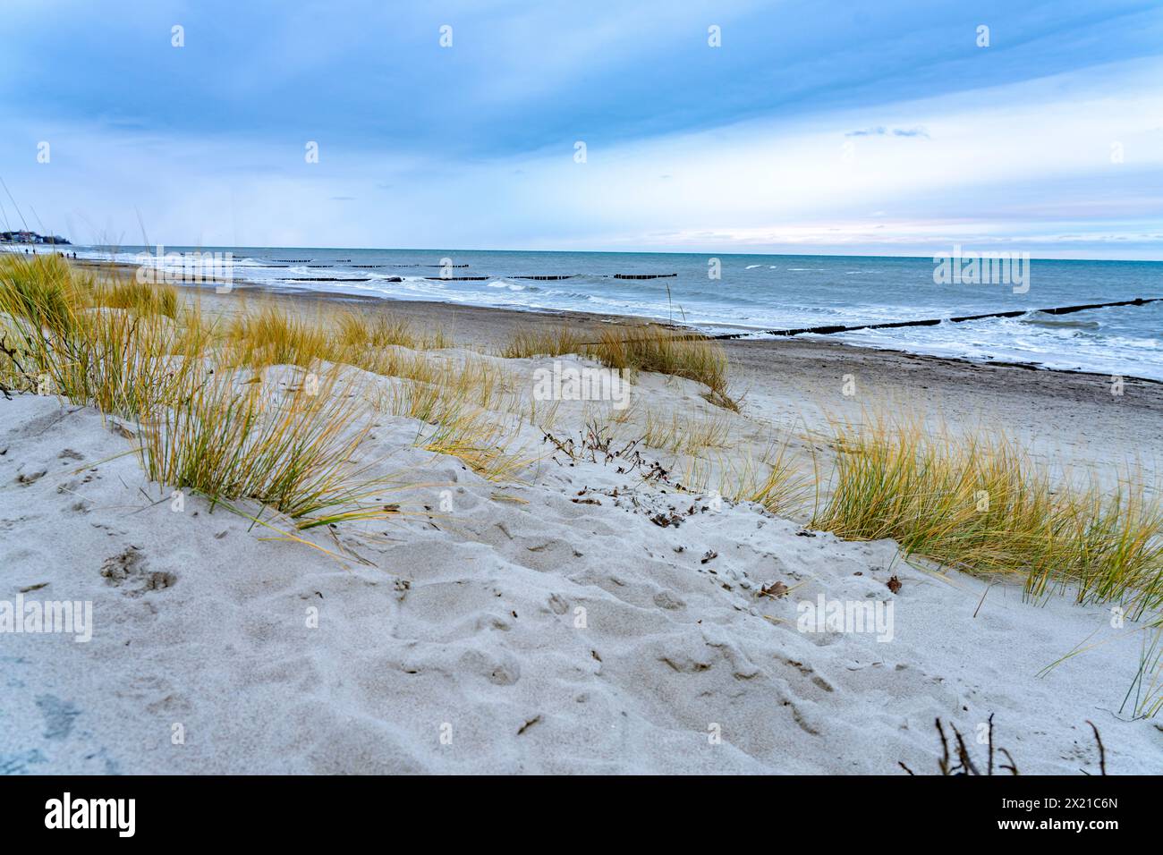 Dunes on the beach of the Baltic Sea resort of Kühlungsborn in winter, Mecklenburg-Western Pomerania, Germany Stock Photo