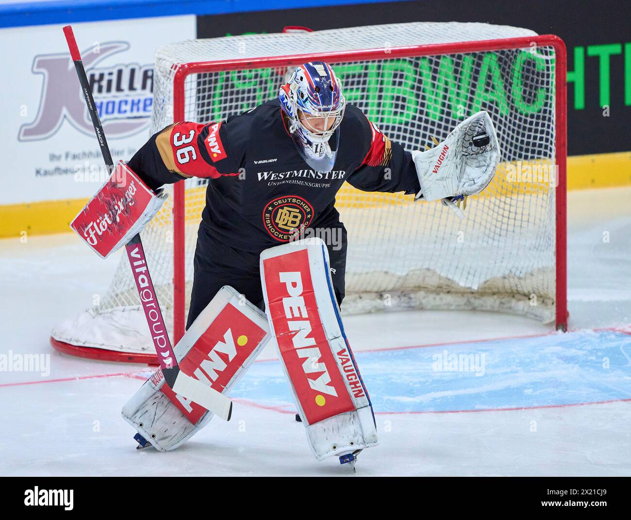 Arno Tiefensee Nr.36 of Germany  in the match GERMANY - SLOVAKIA 7-3 Friendly match DEB ICE HOCKEY, World Championship 2024 preparation in Kaufbeuren Germany, Apr 18, 2024,  Season 2023/2024, Slowakei,  Photographer: ddp images / star-images Stock Photo