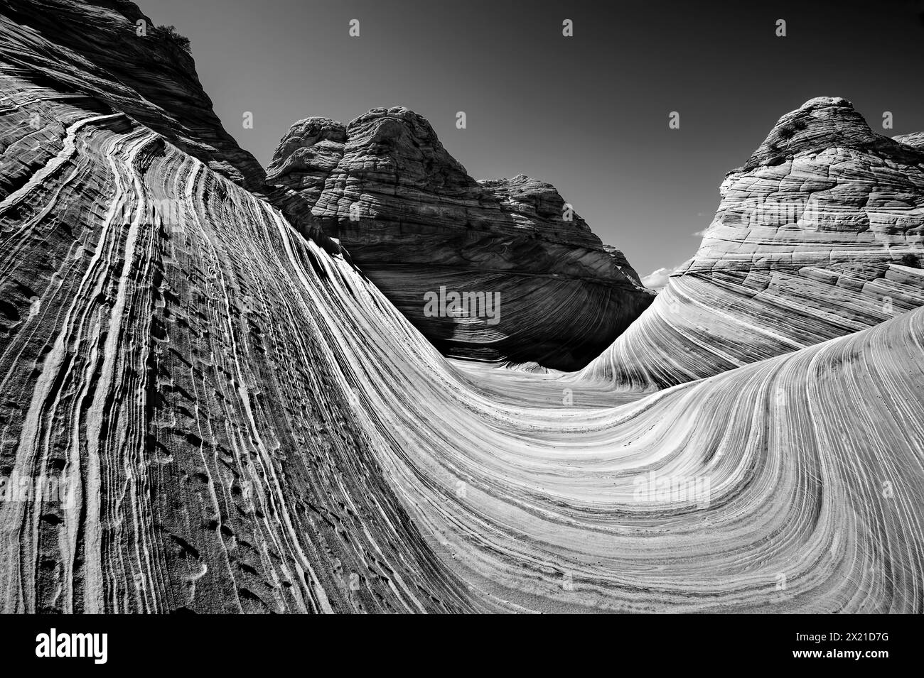 Banded sandstone forms a wave, The Wave, Coyote Buttes, Paria Canyon, Vermillion Cliffs, Kanab, Arizona, USA, North America Stock Photo