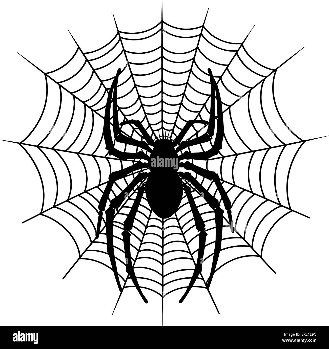 Vector illustration of a spider on a spider web in black silhouette against a clean white background, capturing graceful forms. Stock Vector