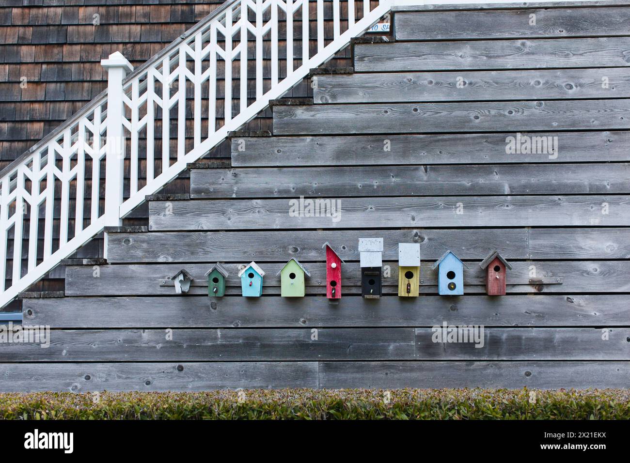 Rustic Birdhouses Hi Res Stock Photography And Images Alamy Colorful Birdhouses Lined Along A Wooden Staircase 2X21EKX