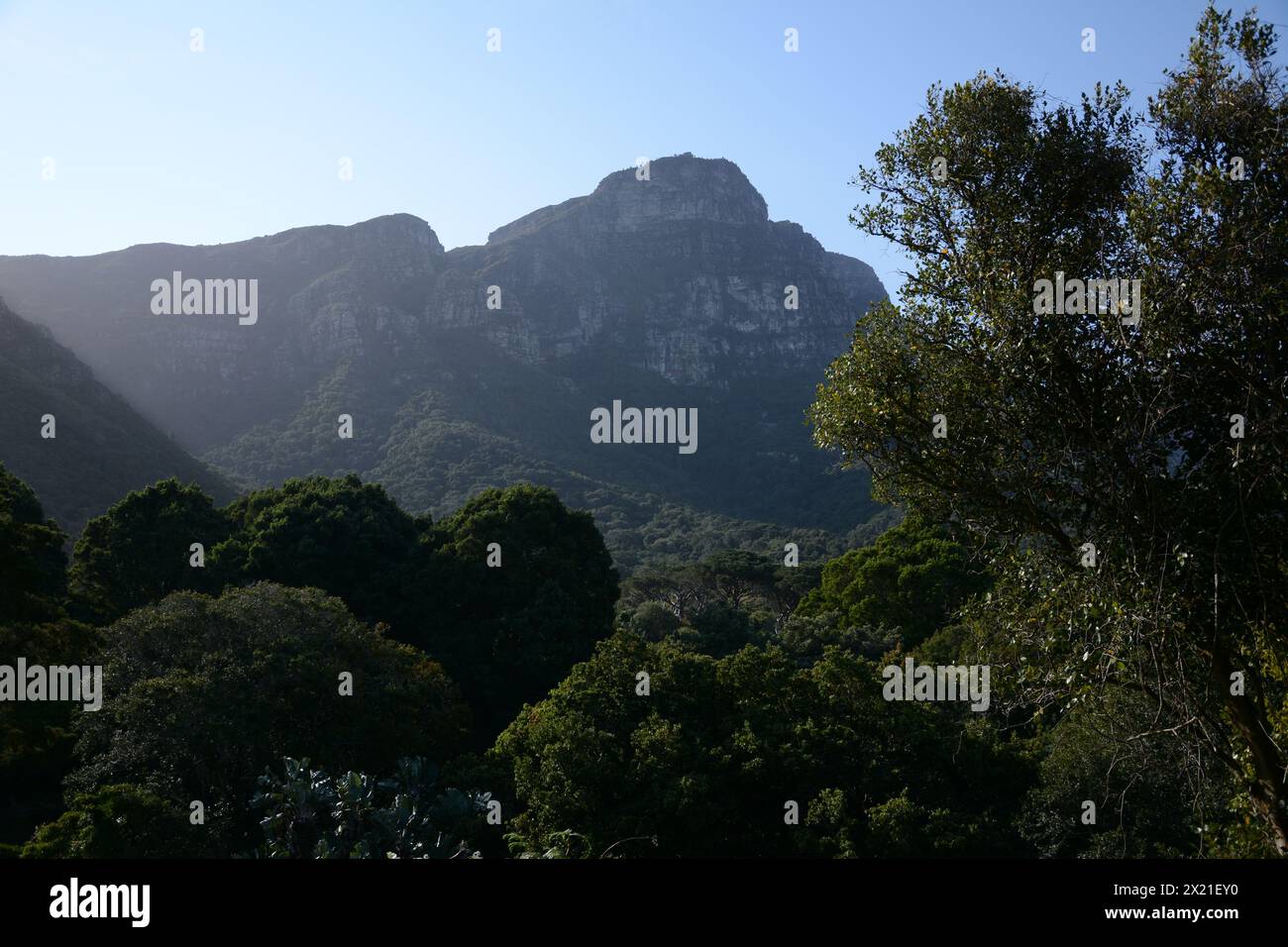 Naturaleza de africa hi-res stock photography and images - Alamy