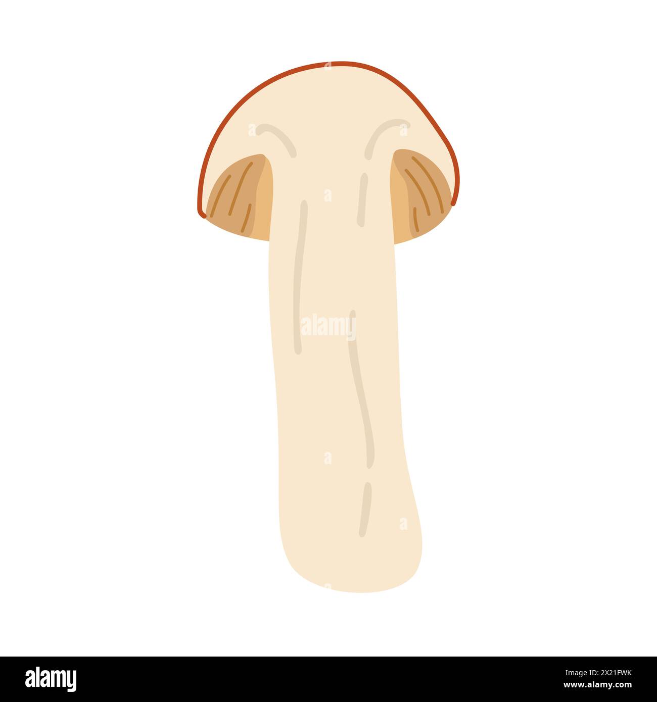 Orange birch bolete. halved mushroom. Leccinum fungi. Edible forest mushrooms. Vegetarian fungi brown cap boletus. Botanical flat vector illustration isolated on white background.  Stock Vector