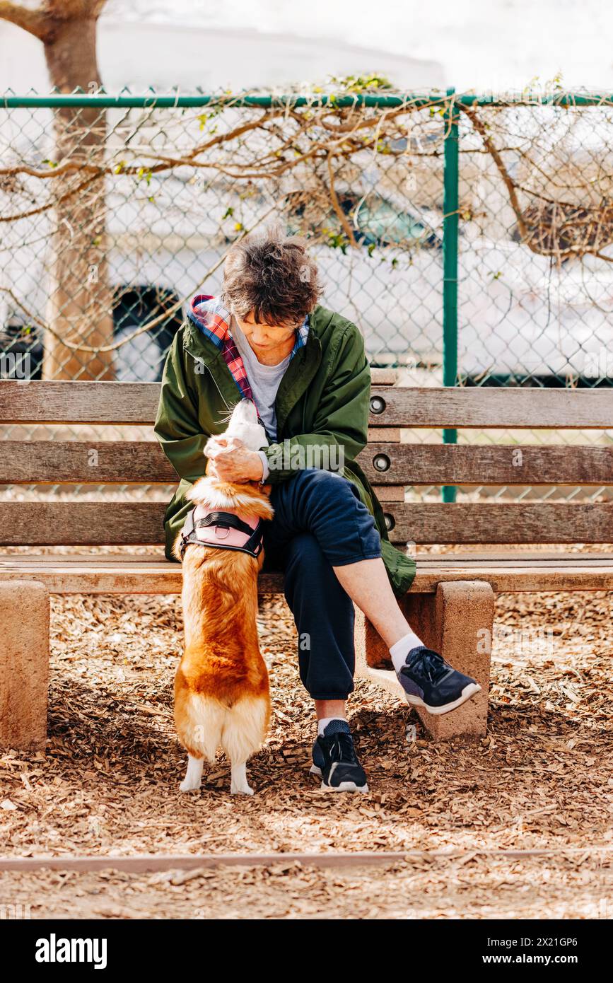 Woman sitting on bench at dog park petting dog Stock Photo - Alamy