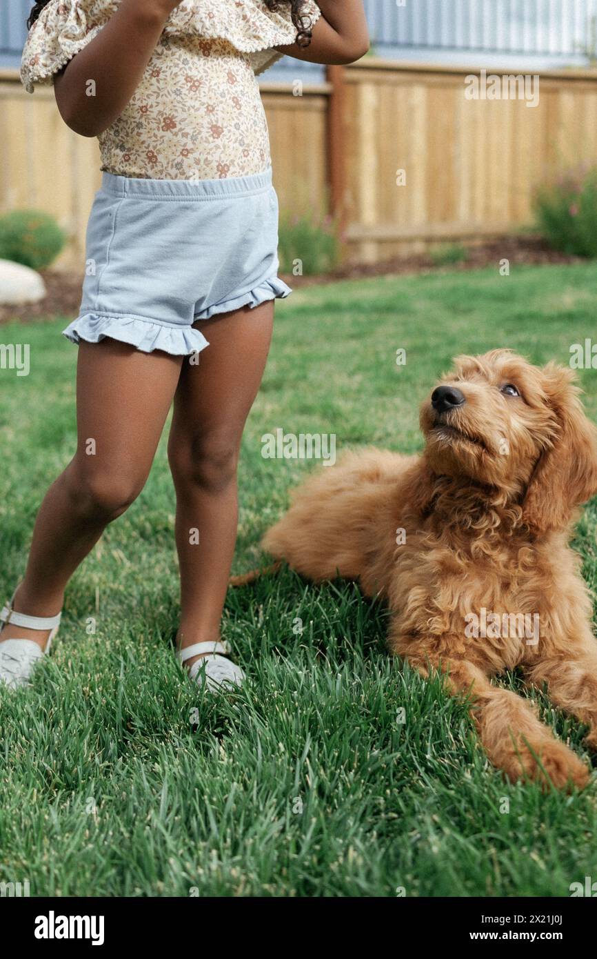 Toddler Girl Backyard Summer with Golden-doodle Puppy Stock Photo