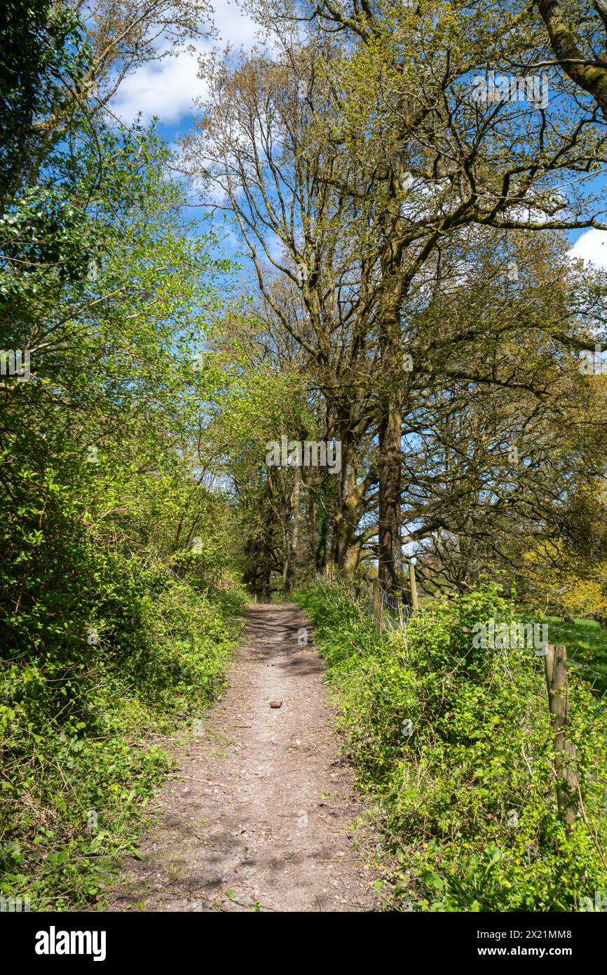 The Hangers Way long distance trail, footpath through countryside and woodland scenery in Hampshire, England, UK Stock Photo