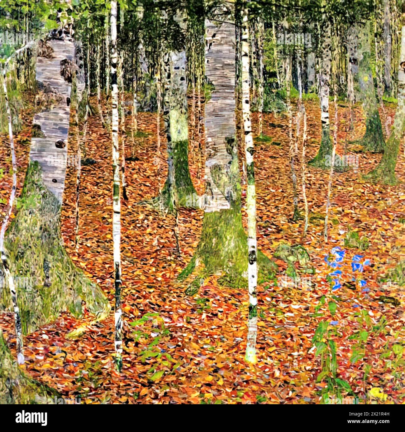 The Birch Wood, 1903 (Painting) by Artist Klimt, Gustav (1862-1918) Austrian. Stock Vector