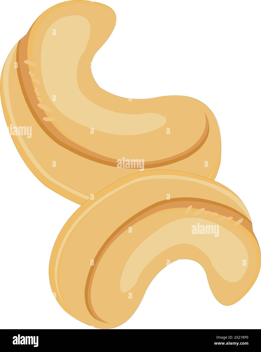 Cashew nuts vector illustration Stock Vector