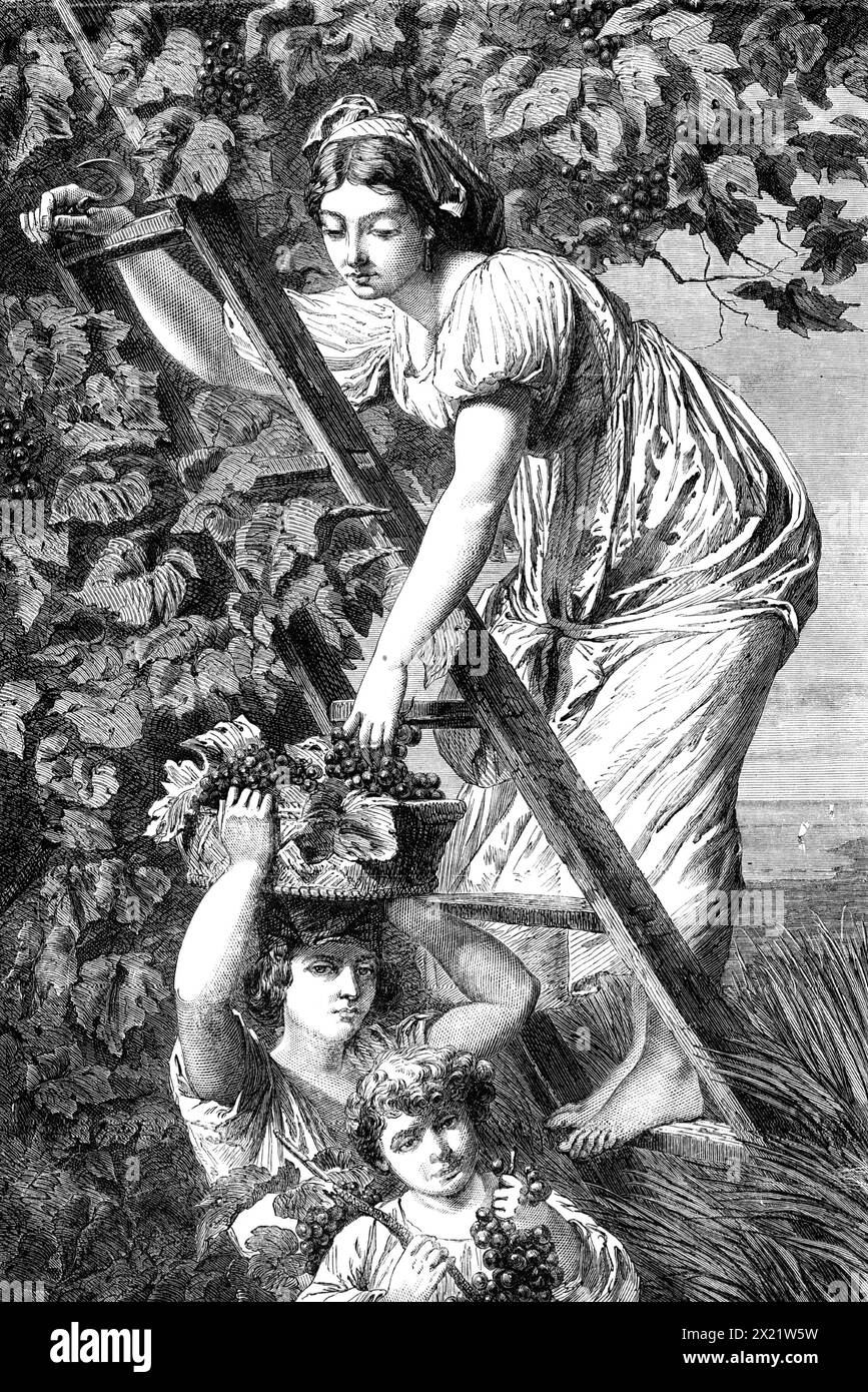 &quot;Grape Gathering near Naples&quot;, by A. De Curzon, in the Exhibition of Fine Arts at Paris, 1864. Engraving of a painting. 'The subject of this picture, by an artist whose reputation has long been established, was suggested by Lamartine's &quot;Graziella,&quot; a romance full of picturesque description fitted to inspire a painter of sentiment. The scene depicted is that in which Graziella is employed in grape-gathering with her two young brothers. The landscape portion of the tableau, though of secondary importance, has been painted with care, and faithfully represents a vintage scene a Stock Photo