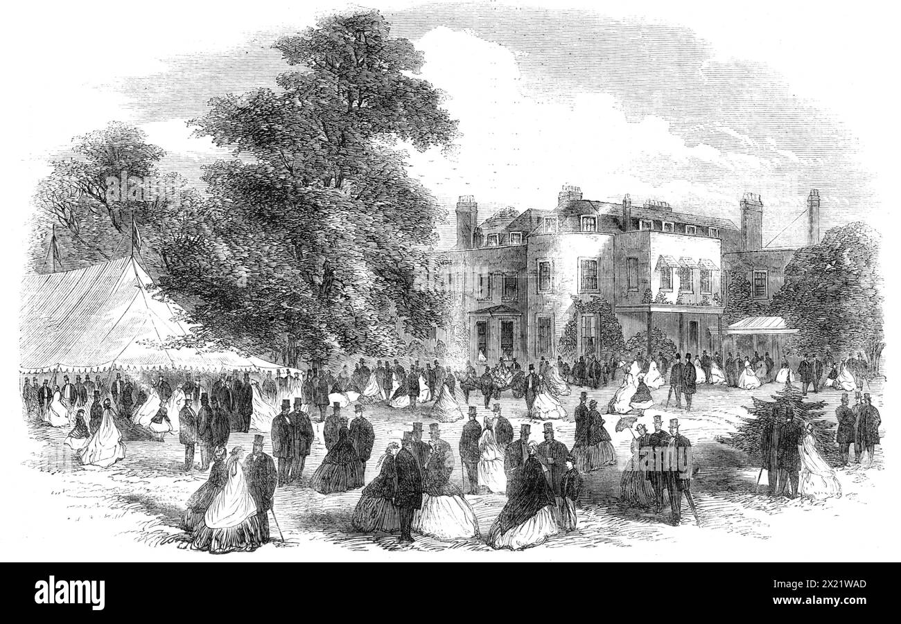 Male house cricket Black and White Stock Photos & Images - Alamy