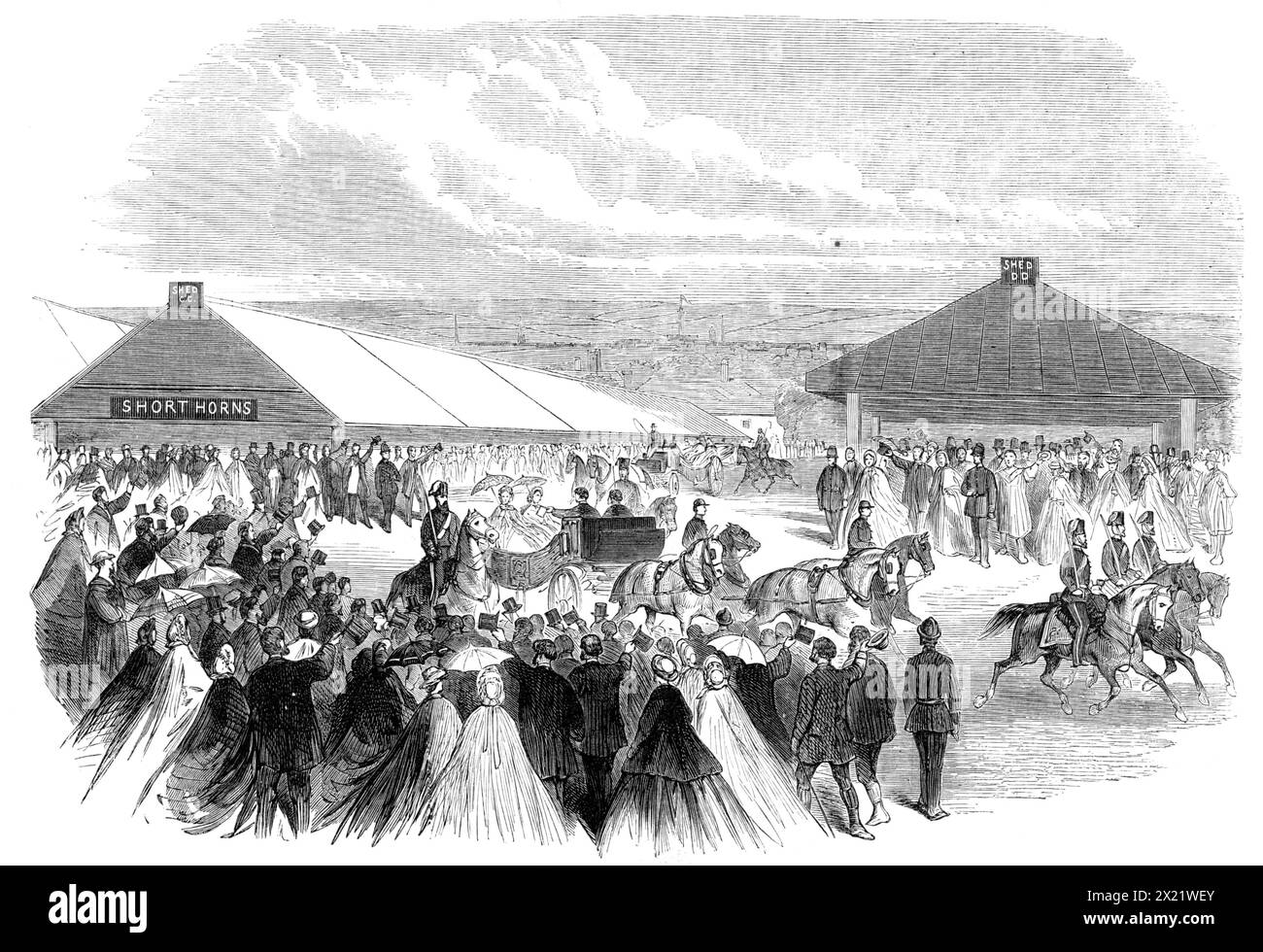 Visit of the Prince and Princess of Wales to Plymouth: their Royal Highnesses in the showyard of the Royal Agricultural Society, 1865. 'On Wednesday forenoon their Royal Highnesses [future King Edward VII and Queen Alexandra] paid a visit to the exhibition of the Agricultural Society at Pennycomequick, a well-known meadow adjoining the town of Devonport... After a short delay at the entrance, the Royal carriage moved forward amid the cheers of the populace...The Prince and Princess confined their attention to the horses and cattle...The thoroughbred horses were first brought out from their box Stock Photo