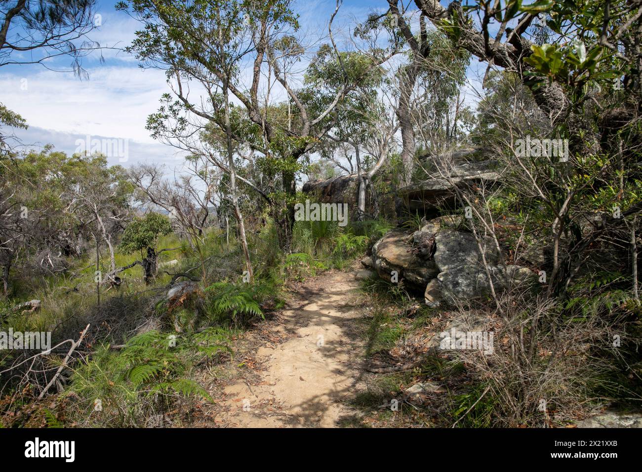 Ku-Ring -Gai chase national park, Red Hands walking track bush trail from West Head to the Aboriginal hands cave , Sydney,NSW,Australia Stock Photo