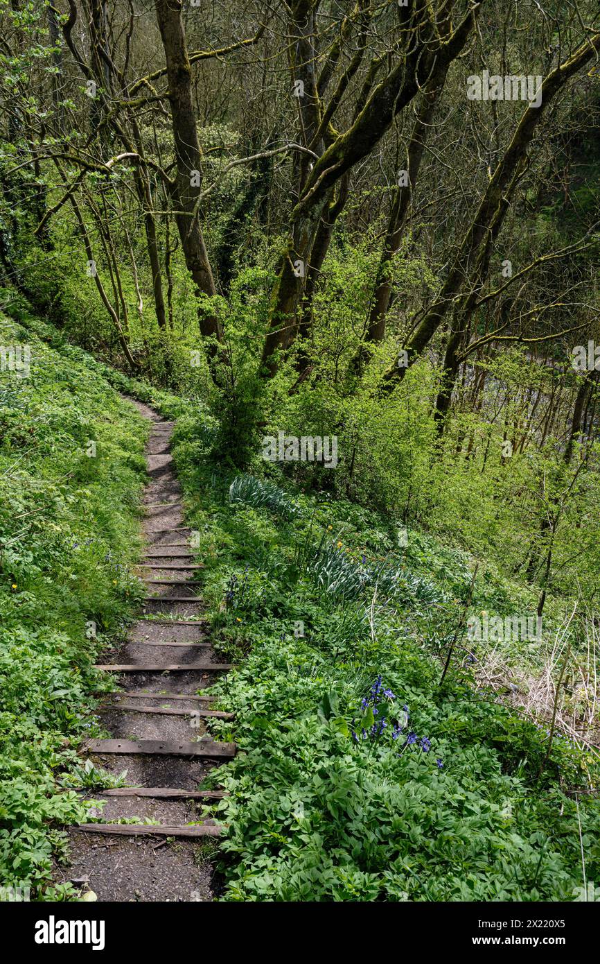 Footpath leading to Bradford Dale, Youlgrave, Peak District National Park, Derbyshire Stock Photo