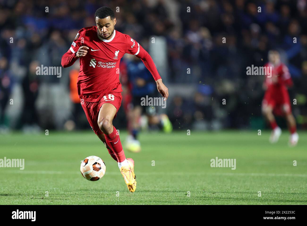 Bergamo, Italy. 18th Apr, 2024. Cody Gakpo of Liverpool Fc looks on during the Uefa Europa League quarter-final second leg match beetween Atalanta Bc and Liverpool Fc at Gewiss Stadium on April 18, 2024 in Bergamo, Italy . Credit: Marco Canoniero/Alamy Live News Stock Photo