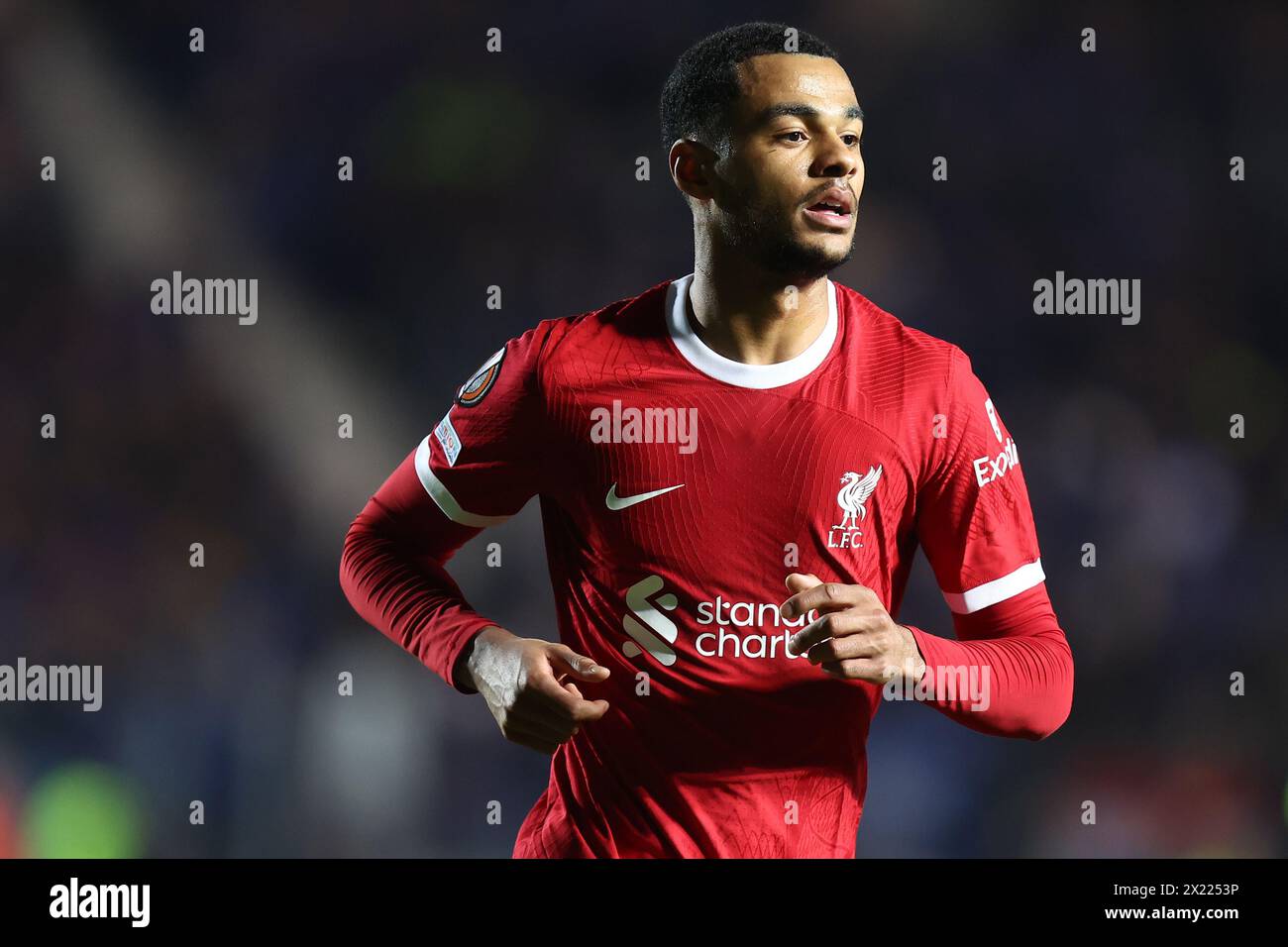 Bergamo, Italy. 18th Apr, 2024. Cody Gakpo of Liverpool Fc looks on during the Uefa Europa League quarter-final second leg match beetween Atalanta Bc and Liverpool Fc at Gewiss Stadium on April 18, 2024 in Bergamo, Italy . Credit: Marco Canoniero/Alamy Live News Stock Photo