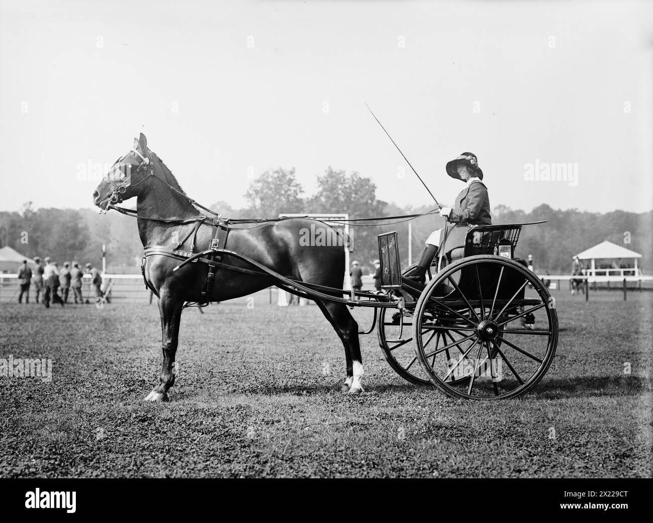 Alix Dolan &amp; &amp;quot;Pride of Jersey&amp;quot;, 1913. Shows a harness horse at the ...