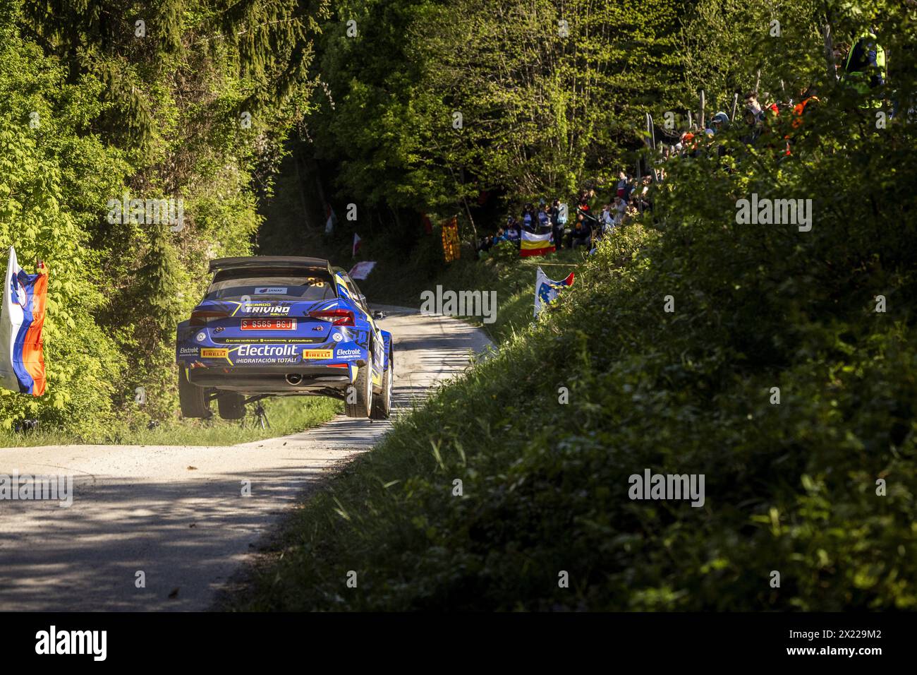 38 Ricardo TRIVIÑO, Diego FUENTES, Skoda Fabia RS Rally2, action ...