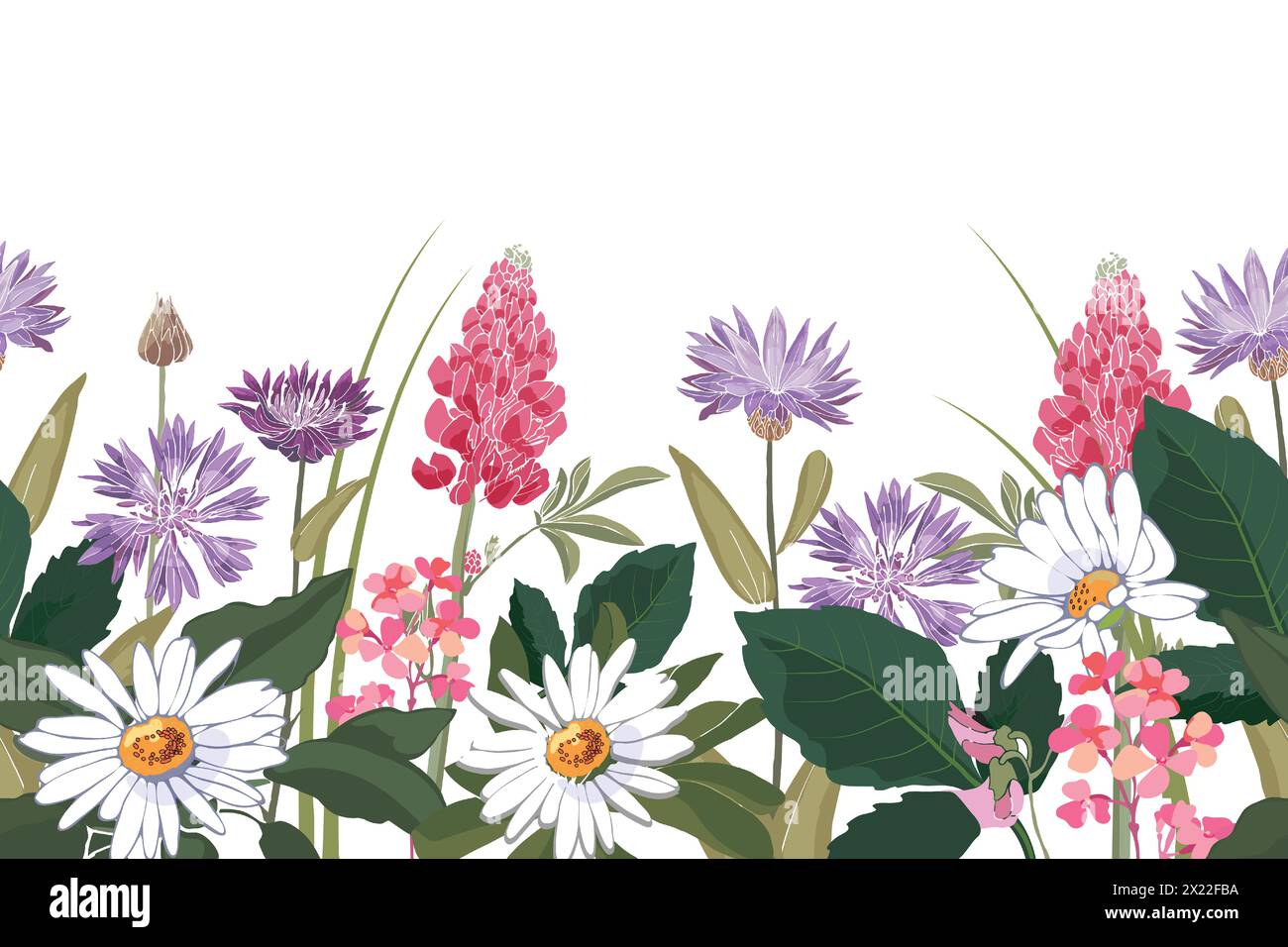 Vector floral seamless pattern, border with flowers, leaves and herbs ...