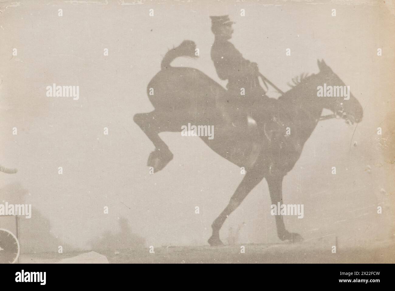 Badminton Maisons-Laffitte (@badminton_maisonslaffitte) • Instagram photos  and videos, image size:1300x958