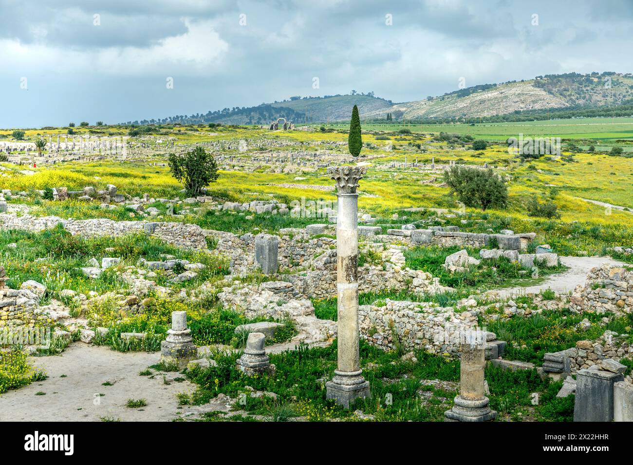 Volubilis, Morocco - March 20, 2024: Touristic attraction and Roman archaeological site situated near Meknes. Volubilis, Morocco is a UNESCO World Her Stock Photo