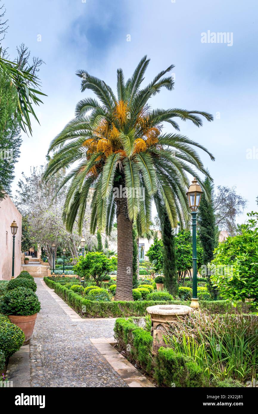 Rabat, Morocco - March 23, 2024: Oasis of freshness very appreciated by the Rabatis, the garden of the Oudayas, located in the Kasbah of the Oudayas i Stock Photo