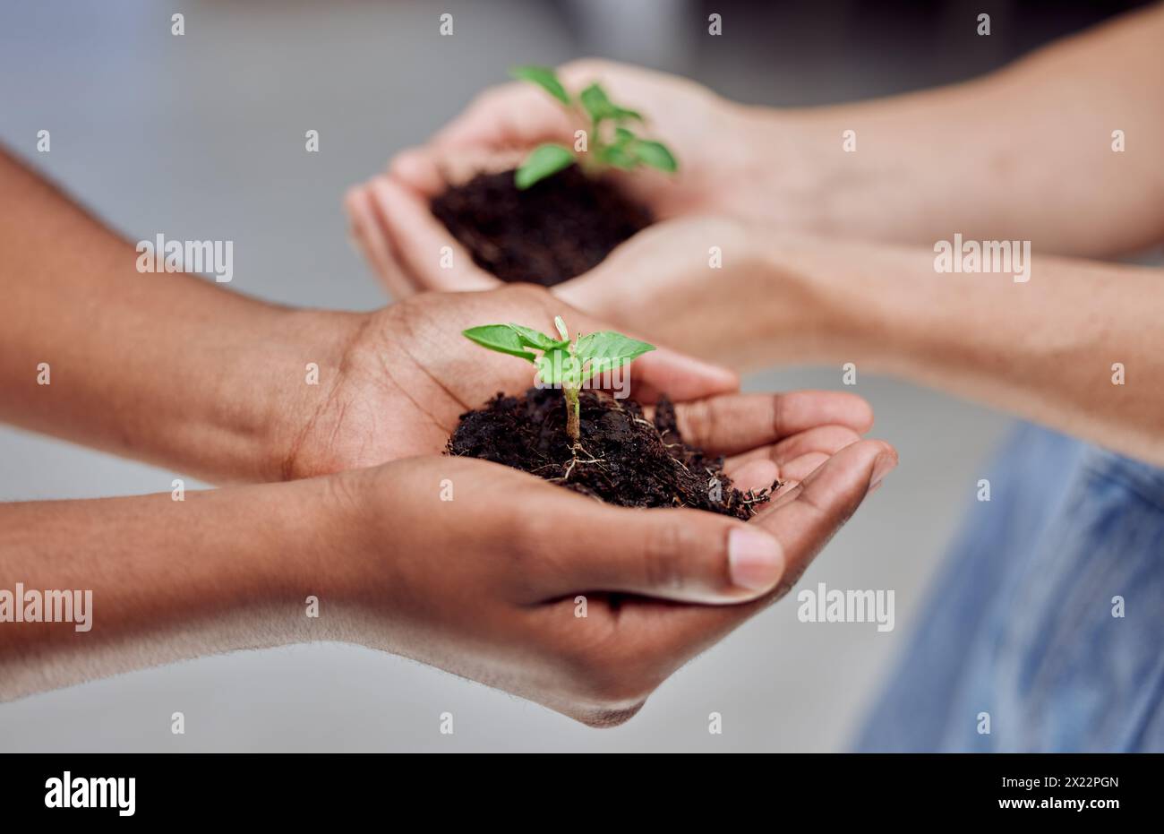 Plants, people and hands with growth, development and sustainable ...