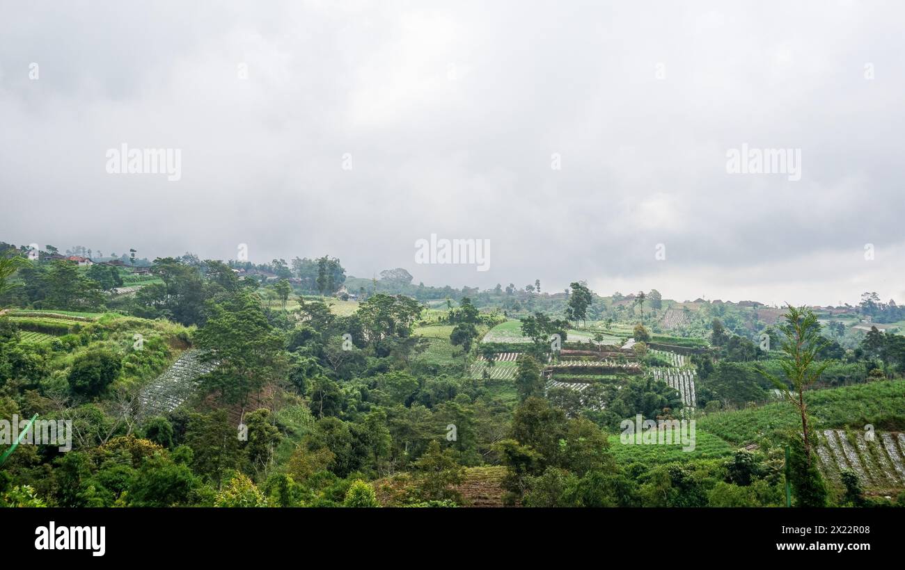 hill landscape with various farms Stock Photo - Alamy