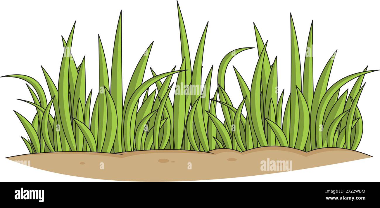 Vector grass vector illustration in an isolated background Stock Vector