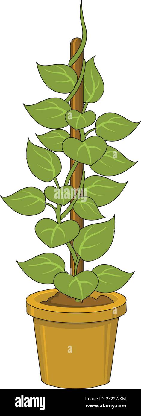 Money plant vector illustration Stock Vector