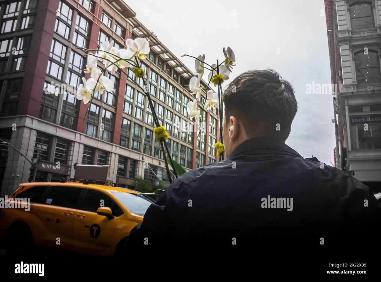 Pedestrian carries orchids in Chelsea in New York on Wednesday, April 17, 2024.  (© Richard B. Levine) Stock Photo