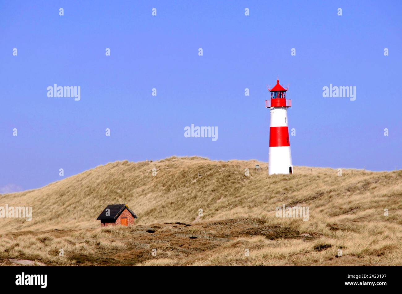 Sylt, Schleswig-Holstein, lighthouse at Ellenbogen, North Frisian island, Germany, Europe, red and white lighthouse stands in a dune landscape under Stock Photo
