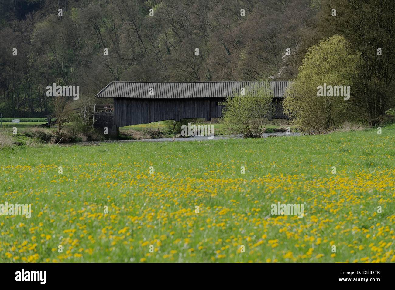 Early spring in the Jagst valley near Kirchberg, Jagst, Jagst cycle path, cycle path, cycling, bicycle, Schwaebisch Hall, Hohenlohe Stock Photo