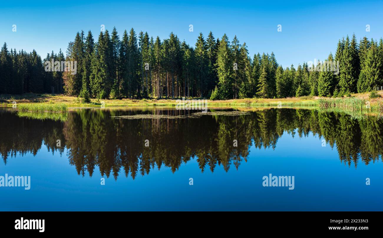 Small lake in the Thuringian Forest, spruce forest reflected, Thuringia, Germany Stock Photo
