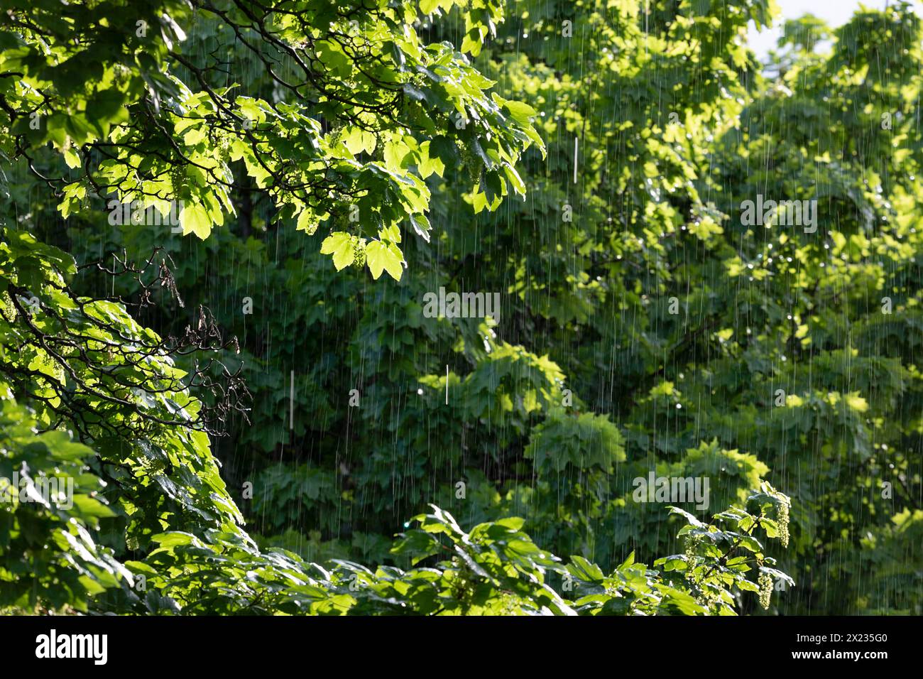 Bad weather summer rain hi-res stock photography and images - Alamy