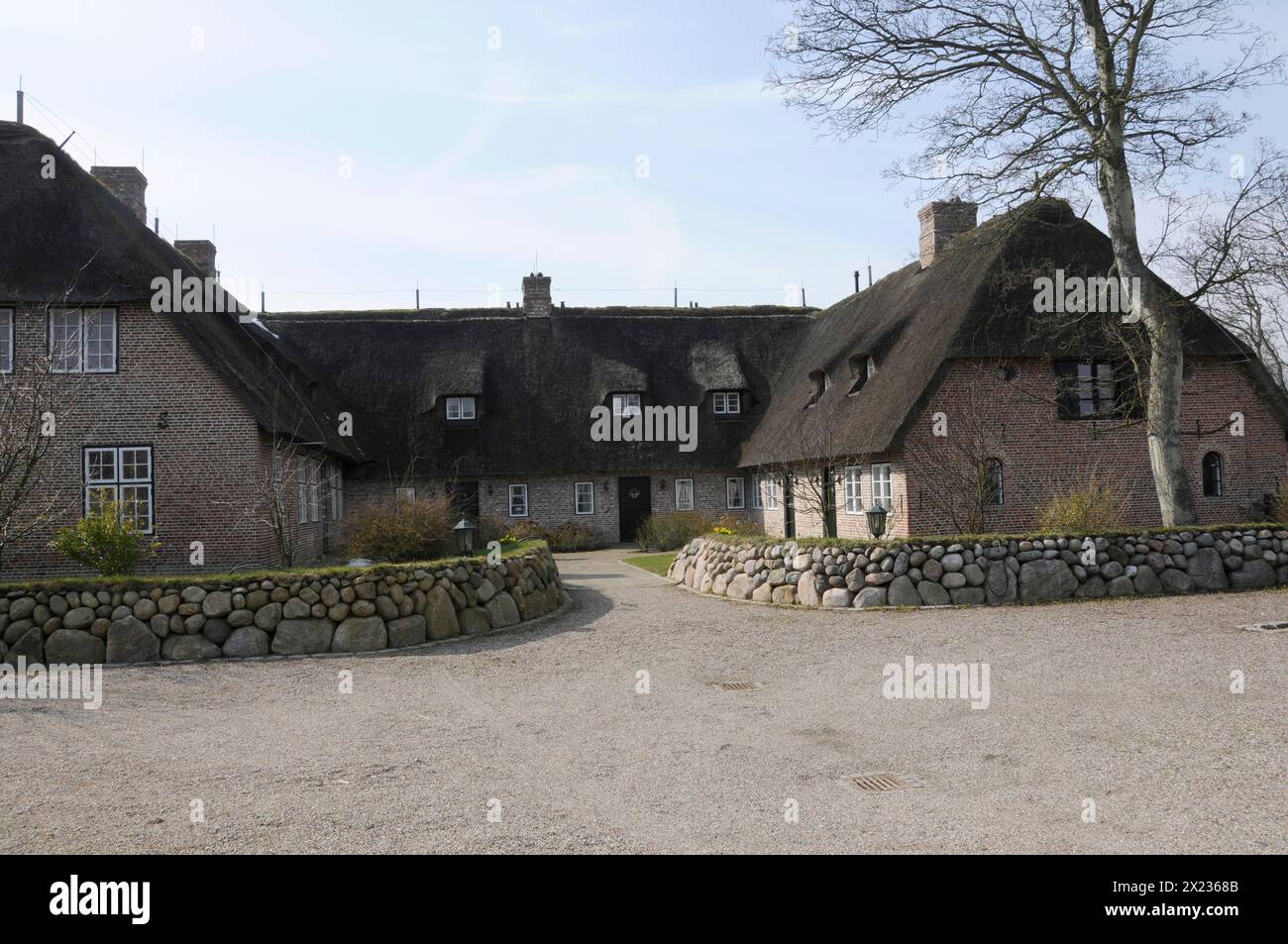 Sylt, North Frisian Island, Schleswig Holstein, Complex of thatched roof houses with stone walls and tree surrounds in spring, Sylt, North Frisian Stock Photo