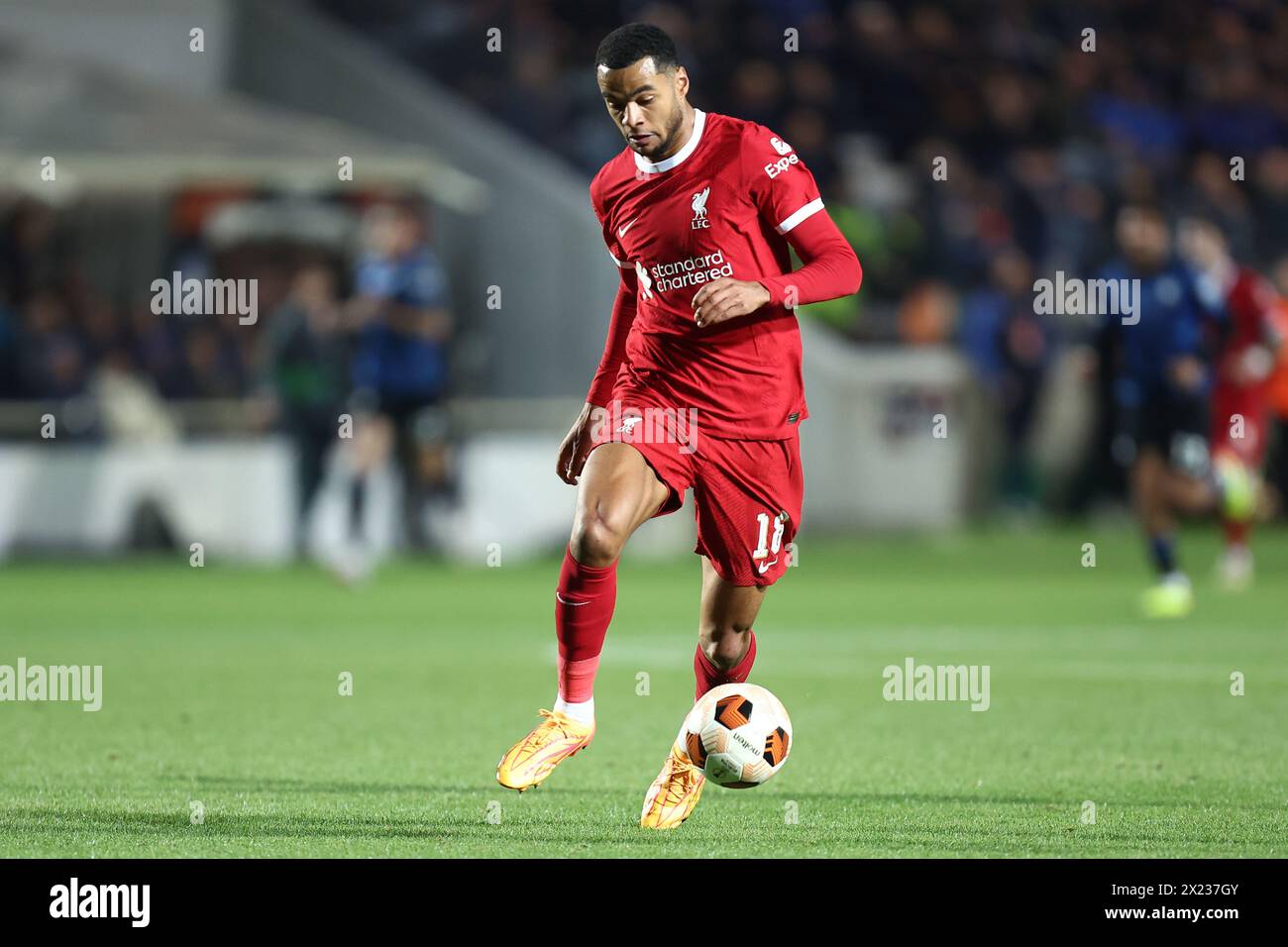 Bergamo, Italy. 18th Apr, 2024. Cody Gakpo of Liverpool Fc in action during the Uefa Europa League quarter-final second leg match beetween Atalanta Bc and Liverpool Fc at Gewiss Stadium on April 18, 2024 in Bergamo, Italy . Credit: Marco Canoniero/Alamy Live News Stock Photo