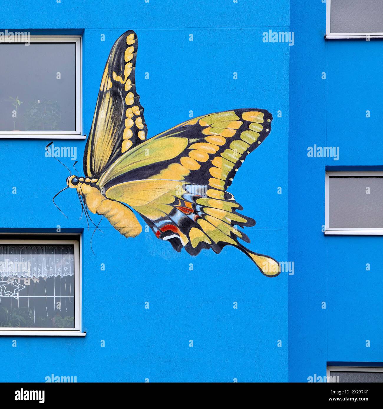 Sunflower house, painted swallowtail butterfly on a skyscraper, artist Ulrich Allgaier, Wuppertal, North Rhine-Westphalia, Germany Stock Photo