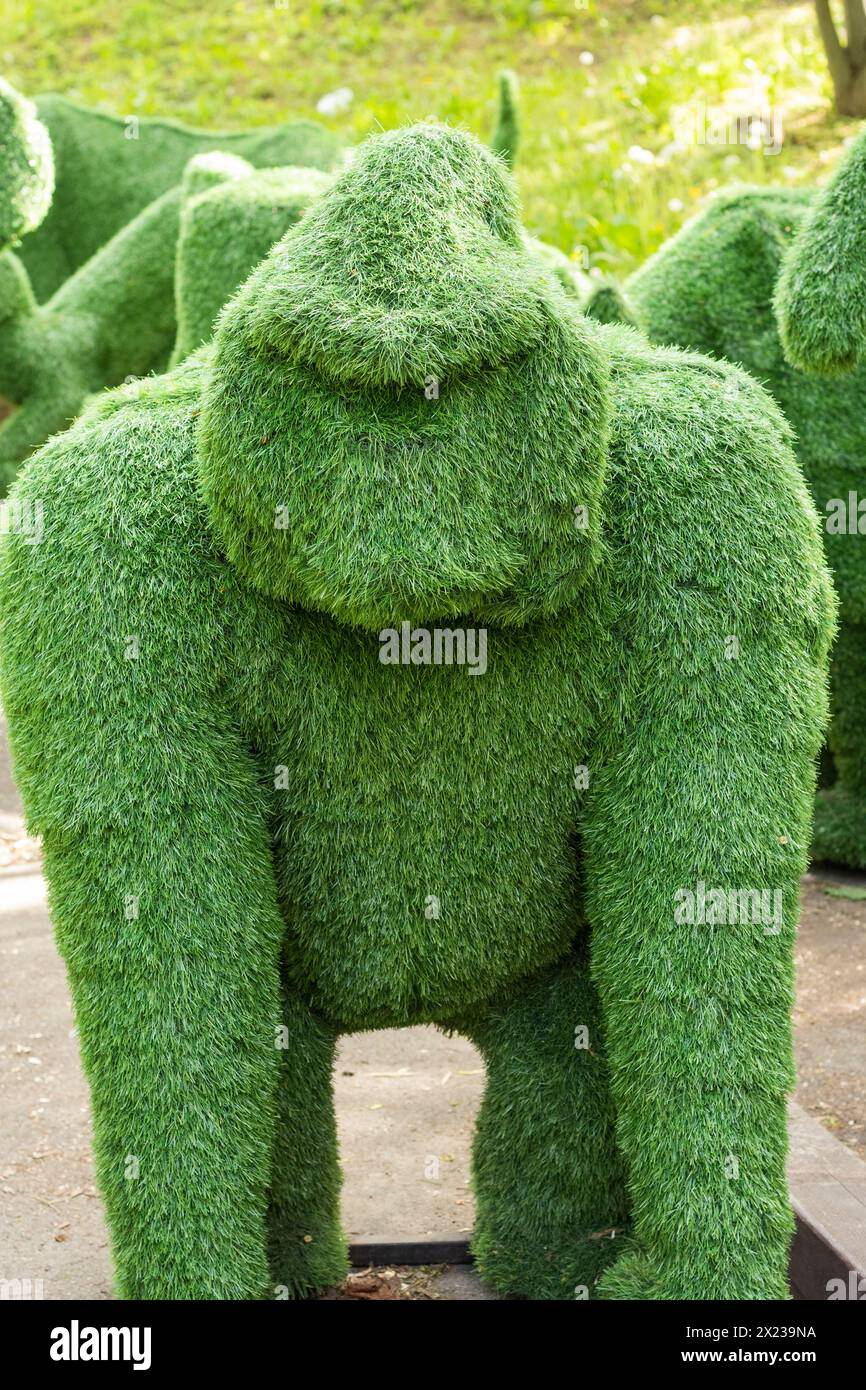 orangutan created from bushes at green animals. garden decoration. Figures for the exhibition of artificial grass. Topiary gardens. garden statues, sc Stock Photo