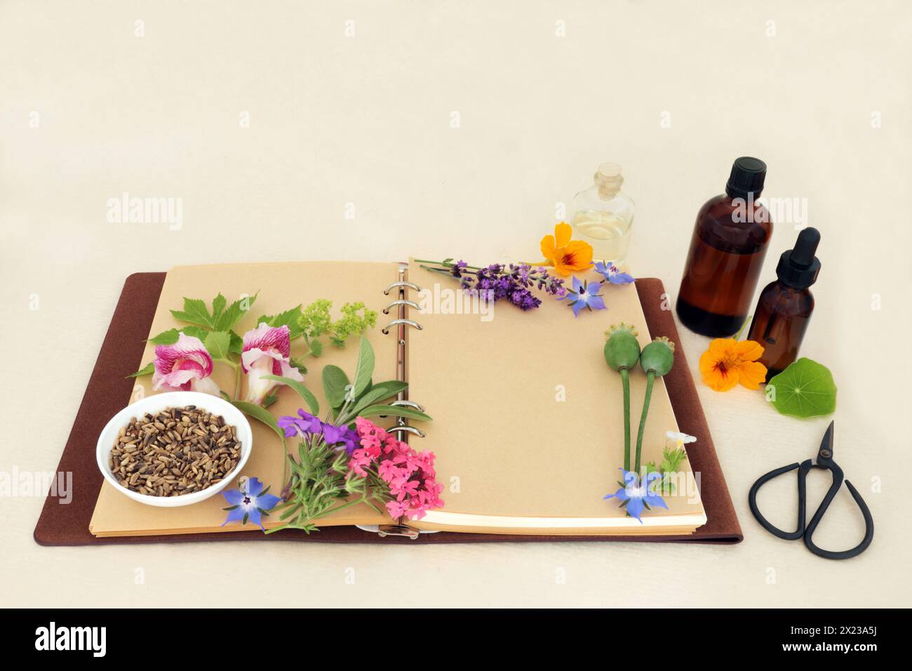 Herbal medicine preparation with flowers and herbs for natural aromatherapy treatments. Ingredients for alternative remedies with recipe notebook. Stock Photo