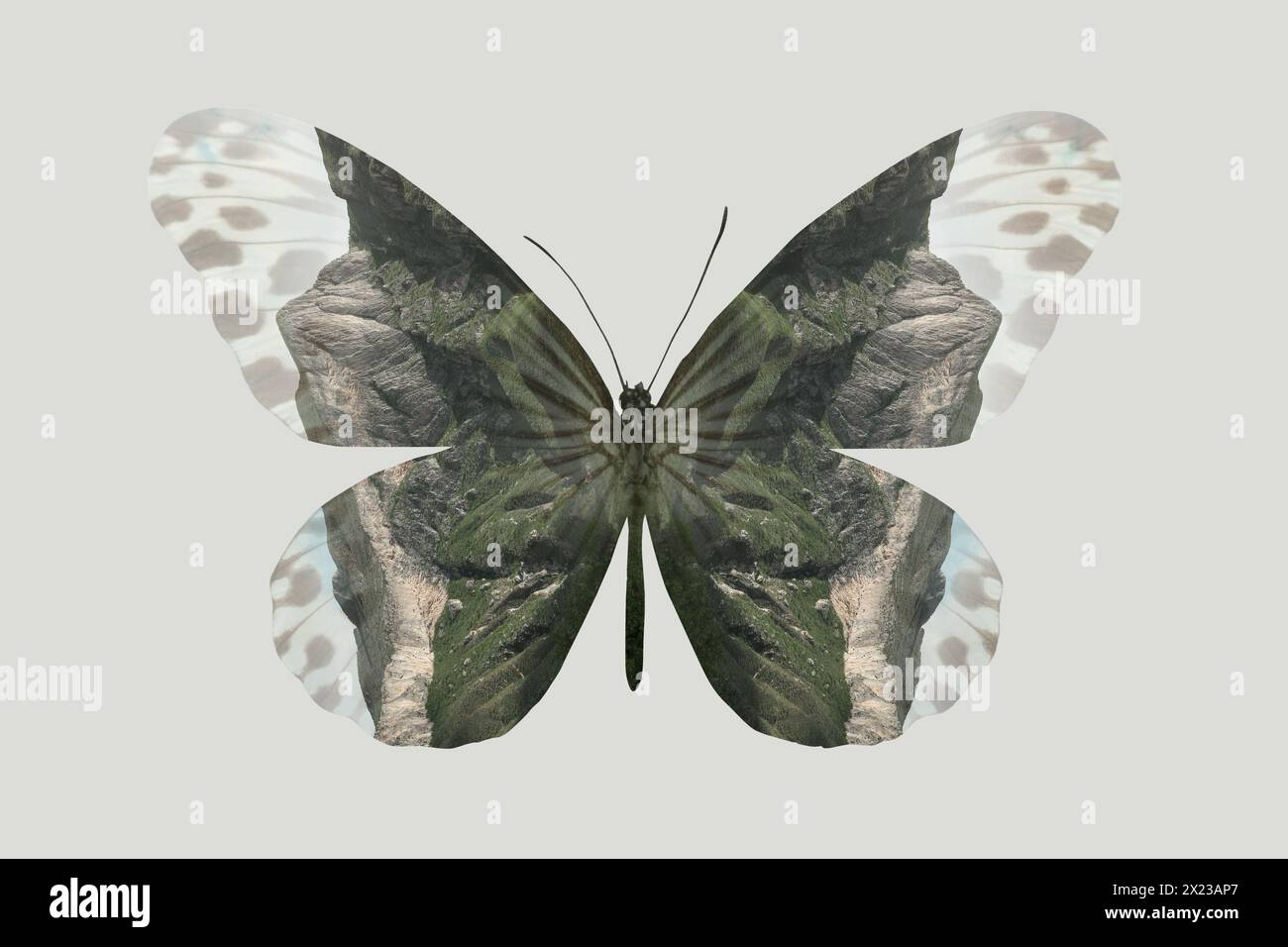 Double exposure wildlife hi-res stock photography and images - Alamy