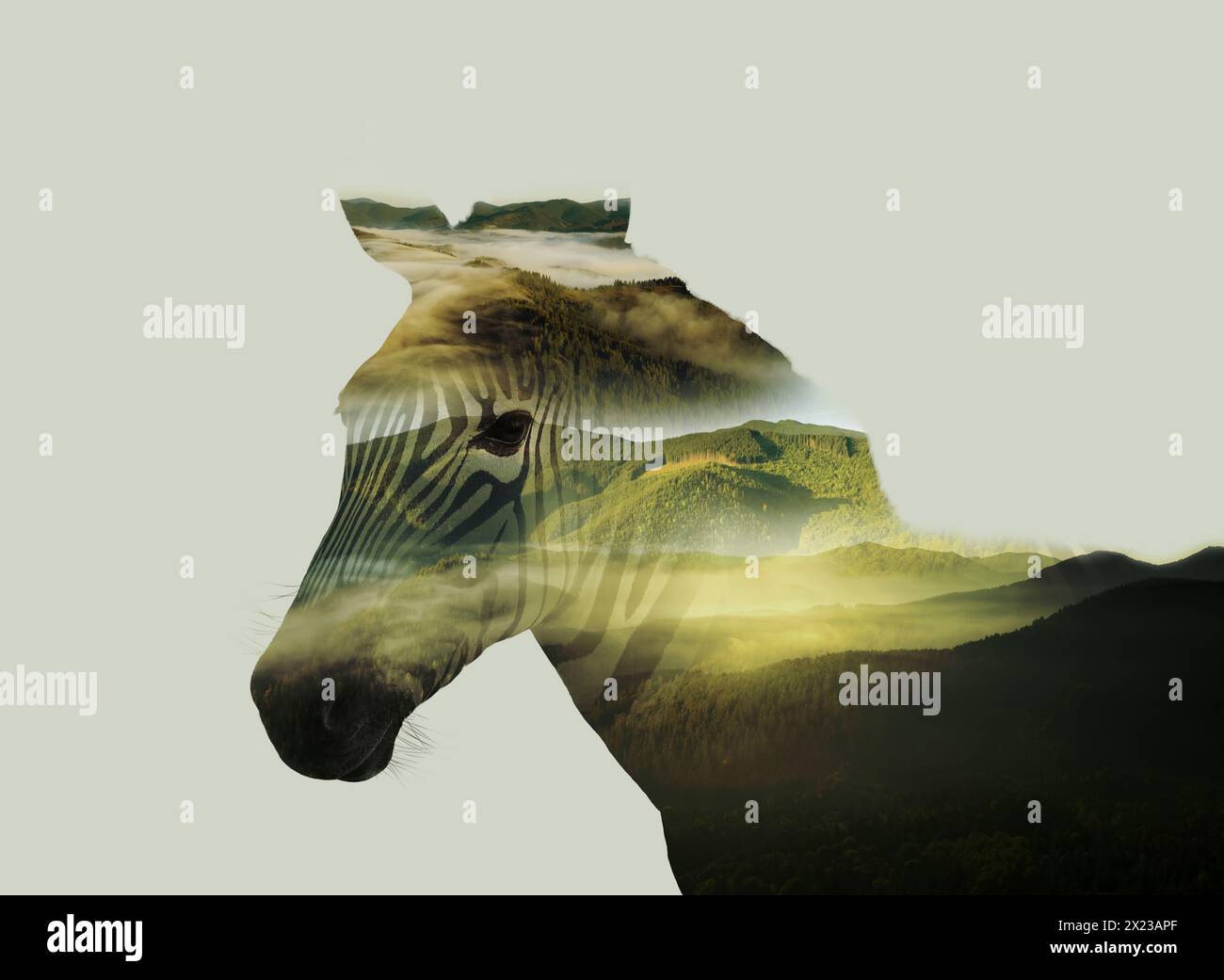 Double exposure wildlife hi-res stock photography and images - Alamy