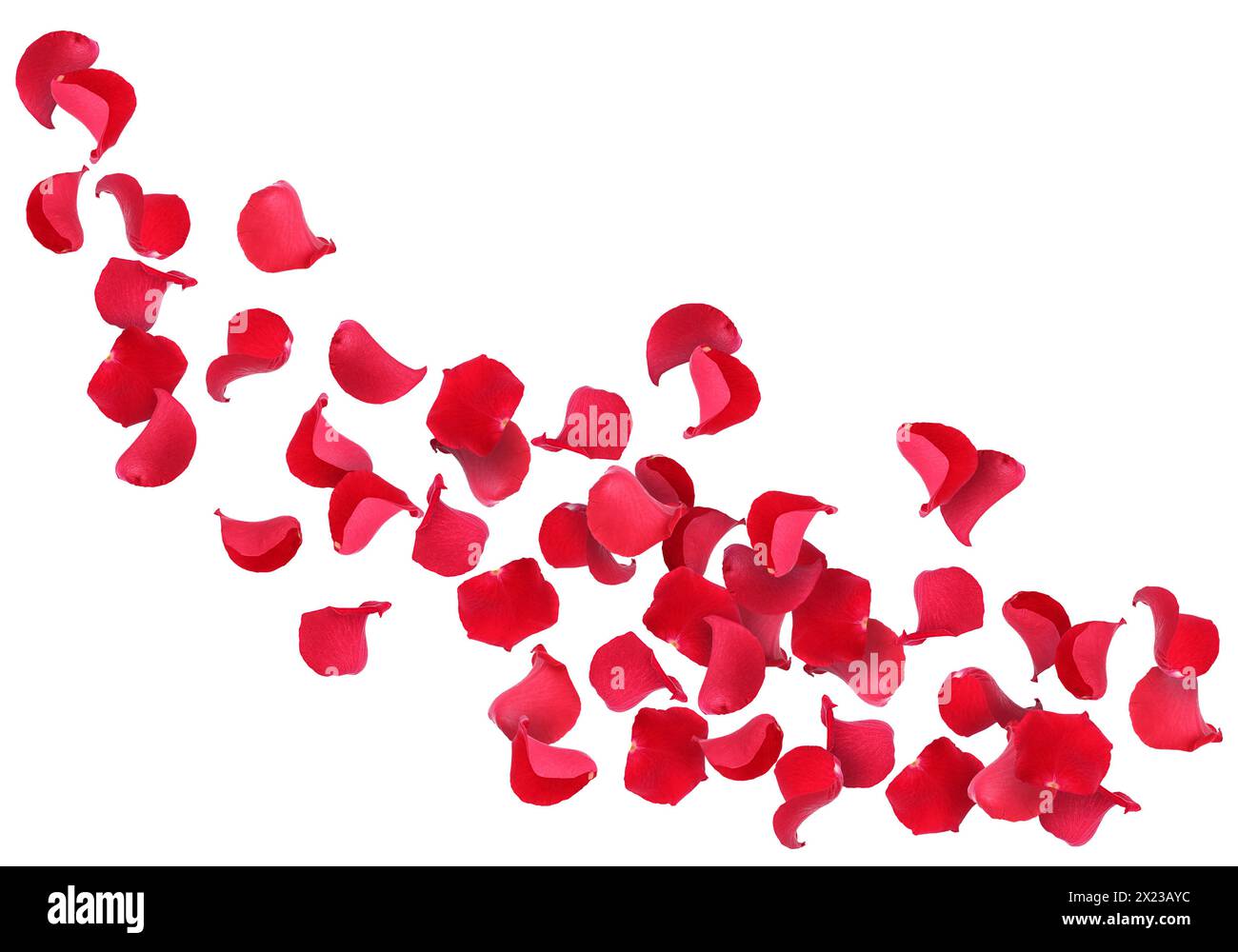 Falling red rose petals motion Cut Out Stock Images & Pictures - Alamy