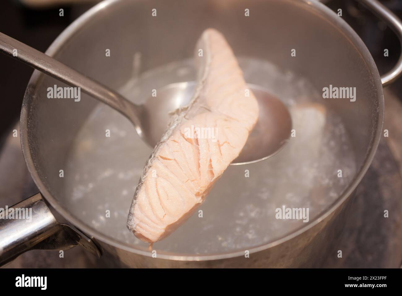 A fillet of salmon being poached on a hob Stock Photo