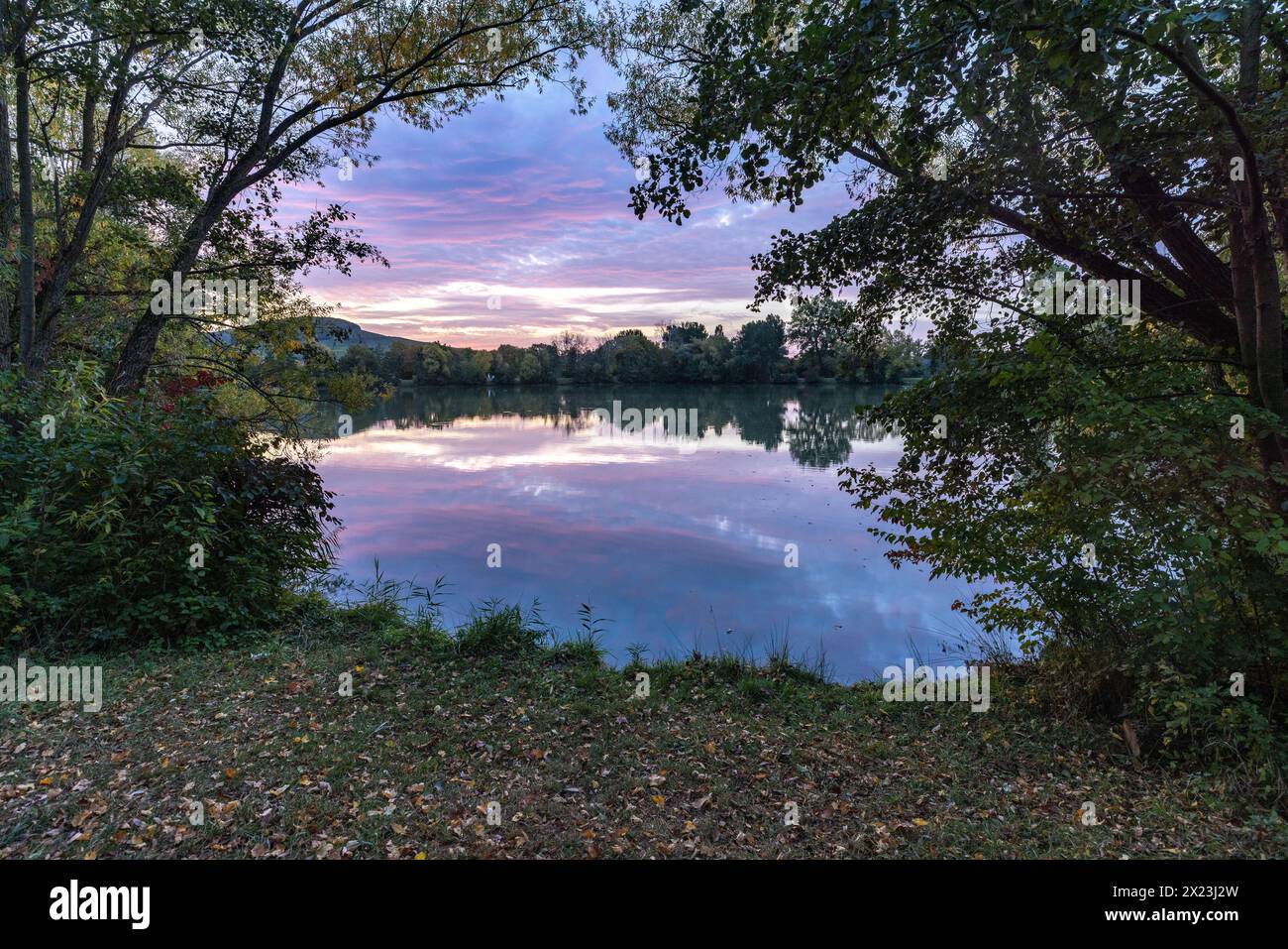 Morning at the city lake, Kitzingen, Lower Franconia, Franconia, Bavaria, Germany, Europe Stock Photo